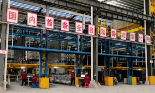 江西南昌: 党建助推铝业 "出海"